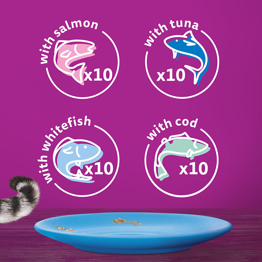 Whiskas Adult 1+ Fish Favourites In Jelly 40x85g