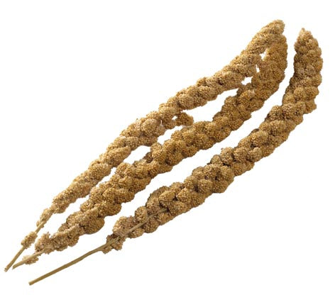 Bucktons Millet Spray 15kg