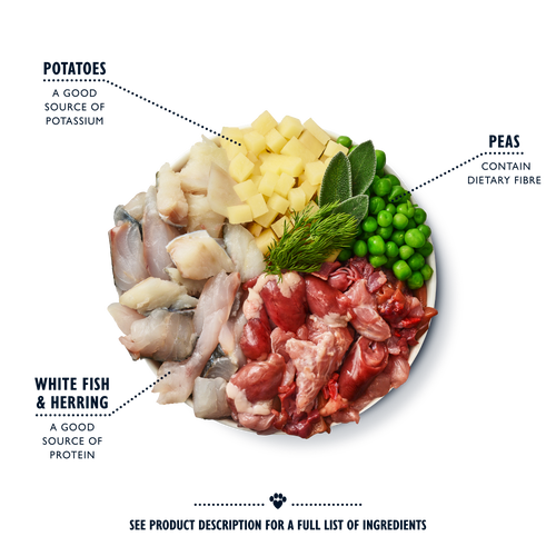 Lily's Kitchen Tins Fish And Chips Dog 400g