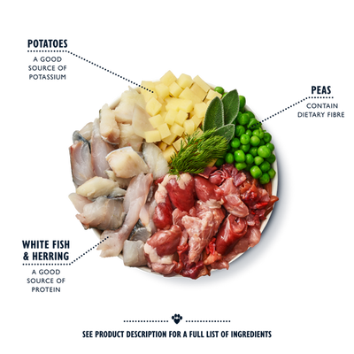 Lily's Kitchen Tins Fish And Chips Dog 400g