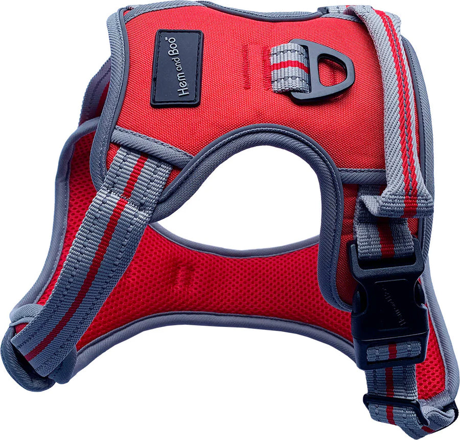 Hem And Boo Reflective Sports Harness