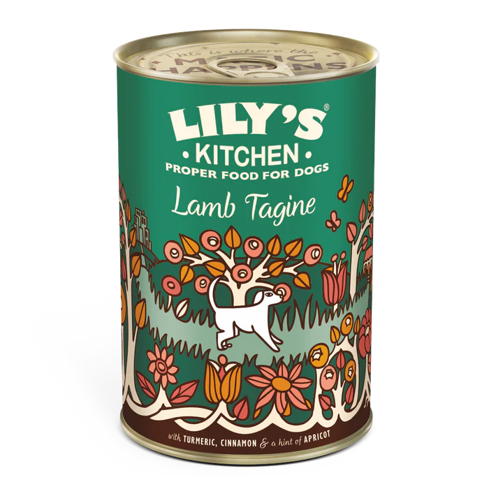 Lily's Kitchen Lamb Tagine Tin 400g