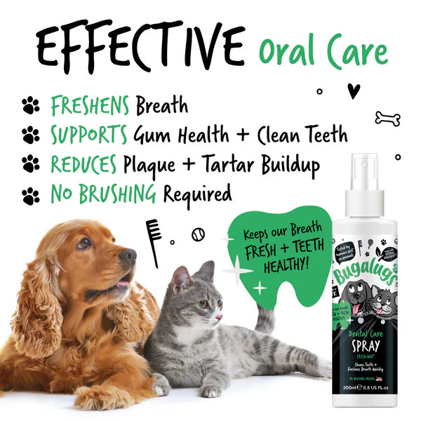 Bugalugs Dental Care Spray Dog & Cat 200ml