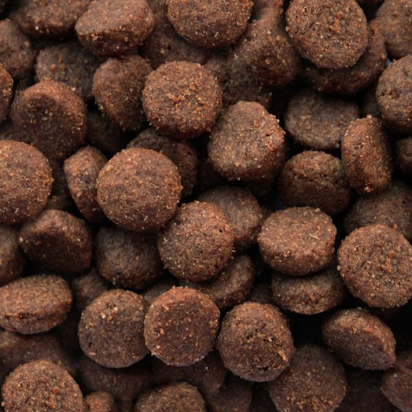 Dr Johns Titanium 15kg