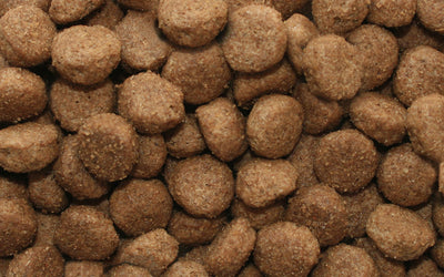 Dr John Hypoallergenic Chicken & Oats 12.5kg