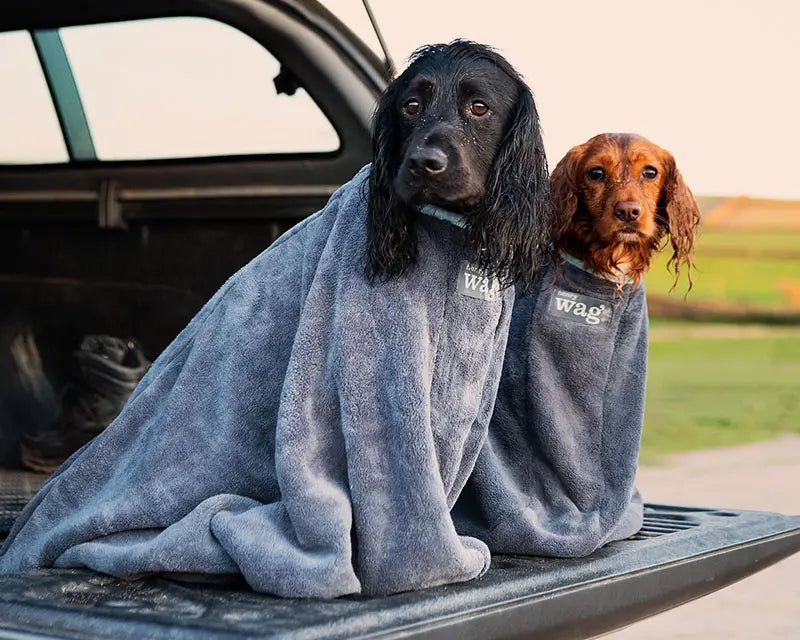 Henry Wag Drying Bag