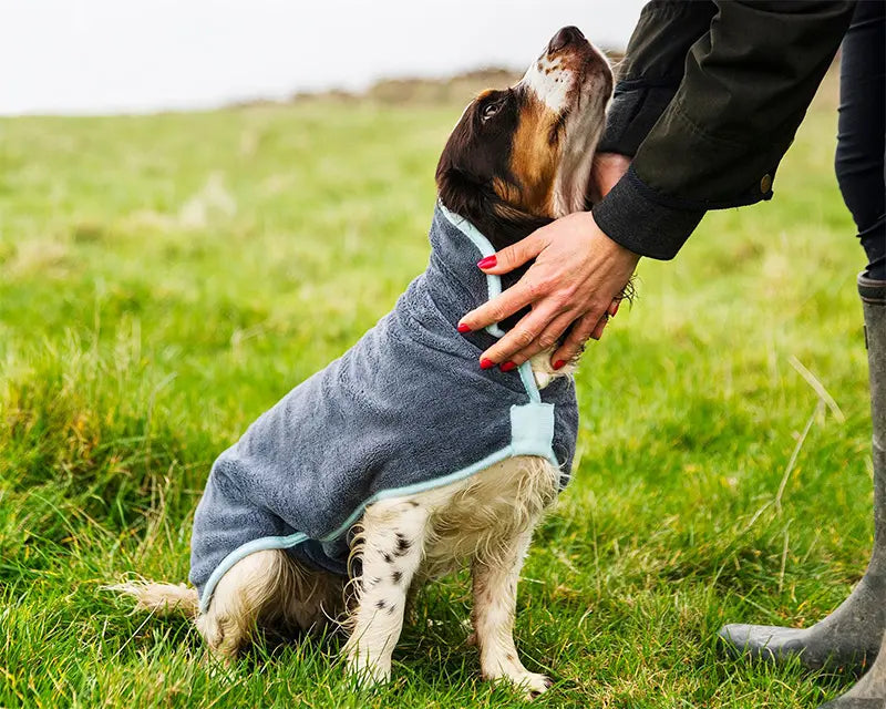 Henry Wag Drying Coat