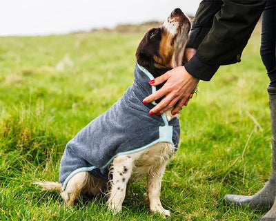 Henry Wag Drying Coat
