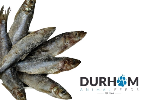 Durham Animal Feeds Herring 1kg