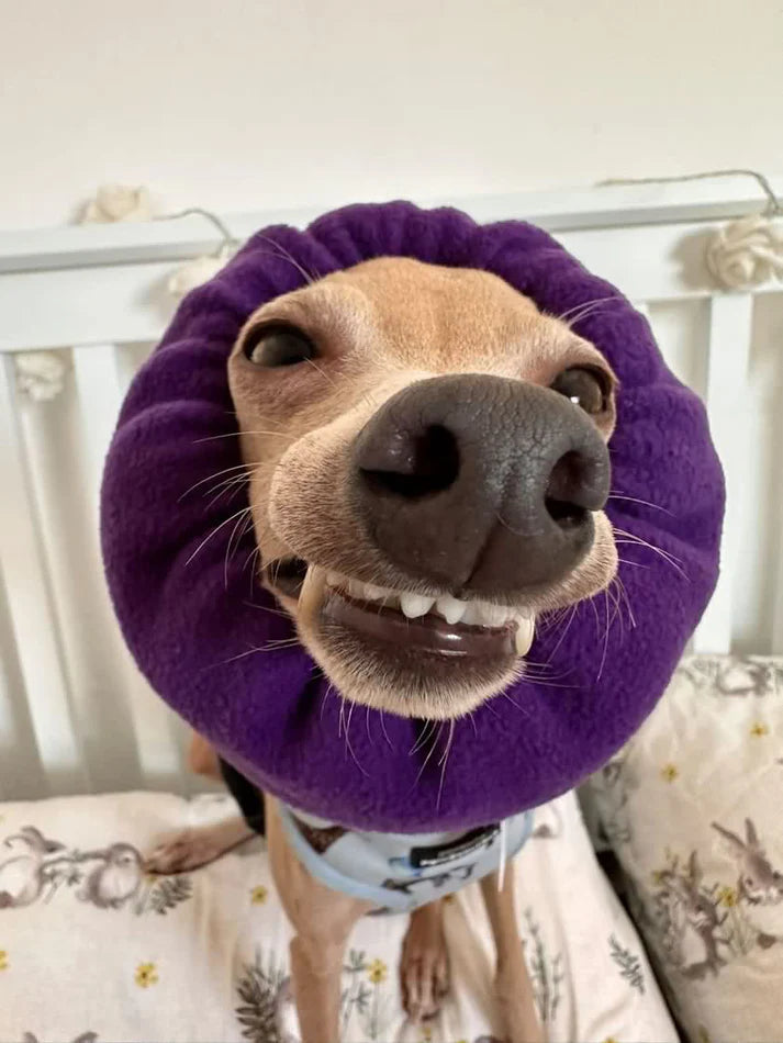 Sooth & Settle Hush Muff Plum Purple Small