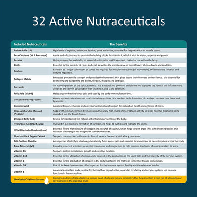 Gro Wells Joint Aid For Dogs 500g