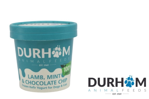 Organic Kefir Yogurt Lamb Mint & Choc 85ml