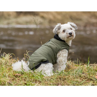 Trixie Arlay Coat