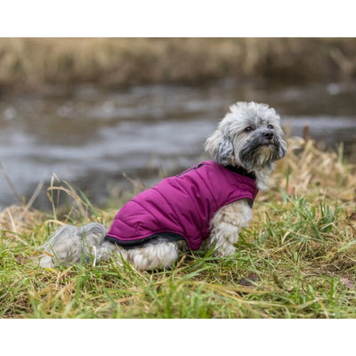 Trixie Arlay Coat
