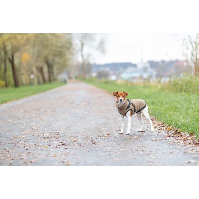 Trixie Pirou Winter Coats with Harness