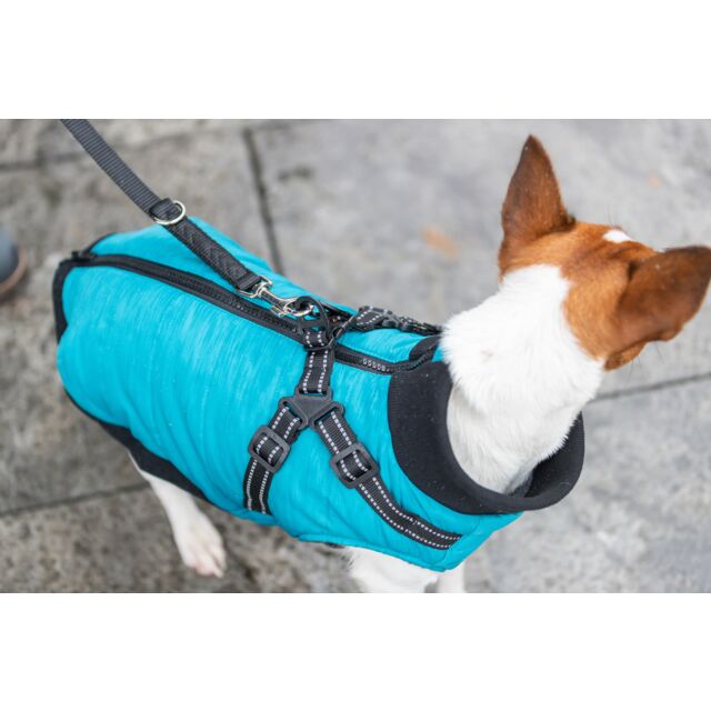 Trixie Pontis Harness Coat