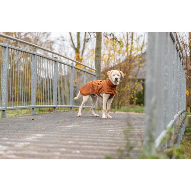 Trixie CityStyle Dublin Rain Coat