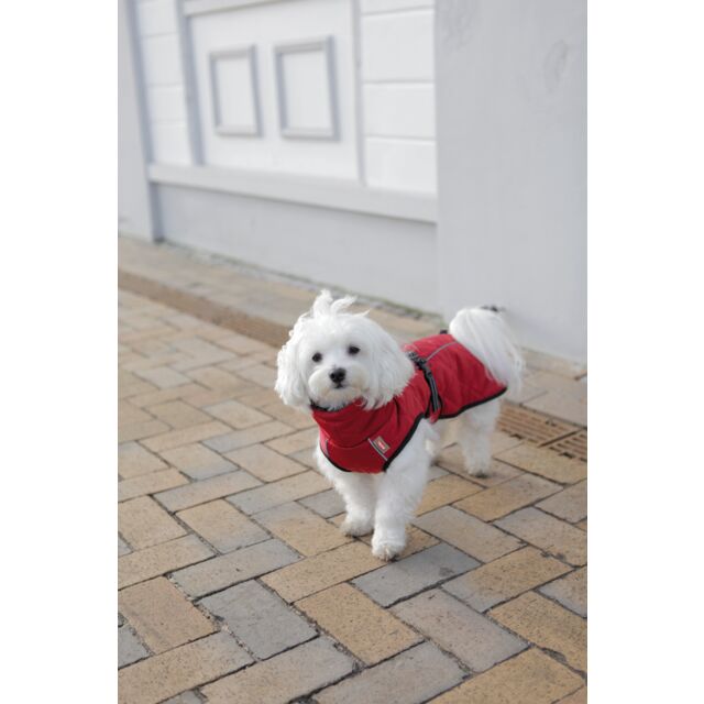 Trixie Minot Dog Coat Red