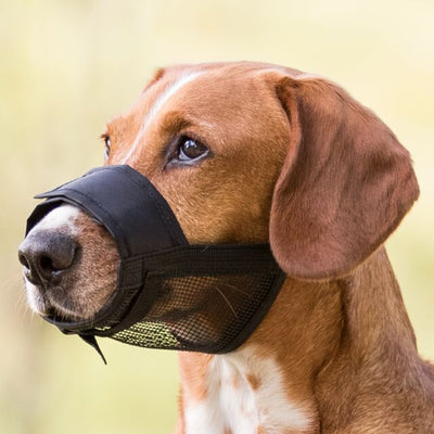 Trixie Muzzle With Net Insert Nylon