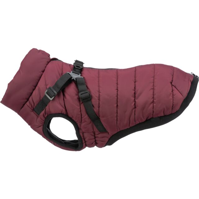 Trixie Pirou Winter Coats with Harness