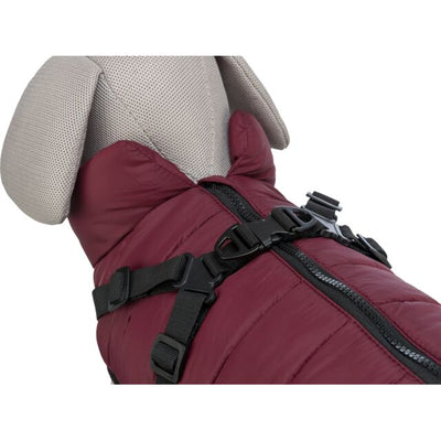 Trixie Pirou Winter Coats with Harness