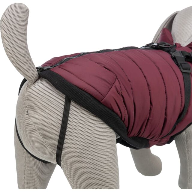 Trixie Pirou Winter Coats with Harness
