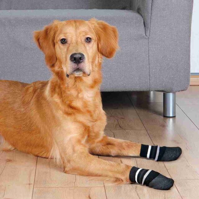 Trixie Dog Socks XL Black 2 Pack