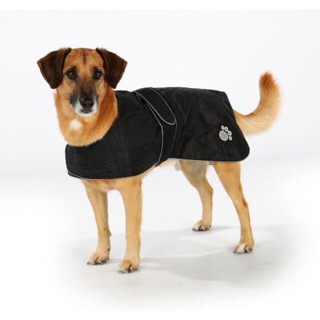 Trixie Orleans Coat Black
