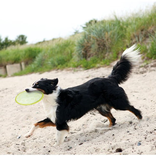 Dog Disc TPR Floatable 22cm - Direct Pets