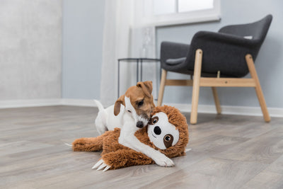 Sloth Plush 56cm
