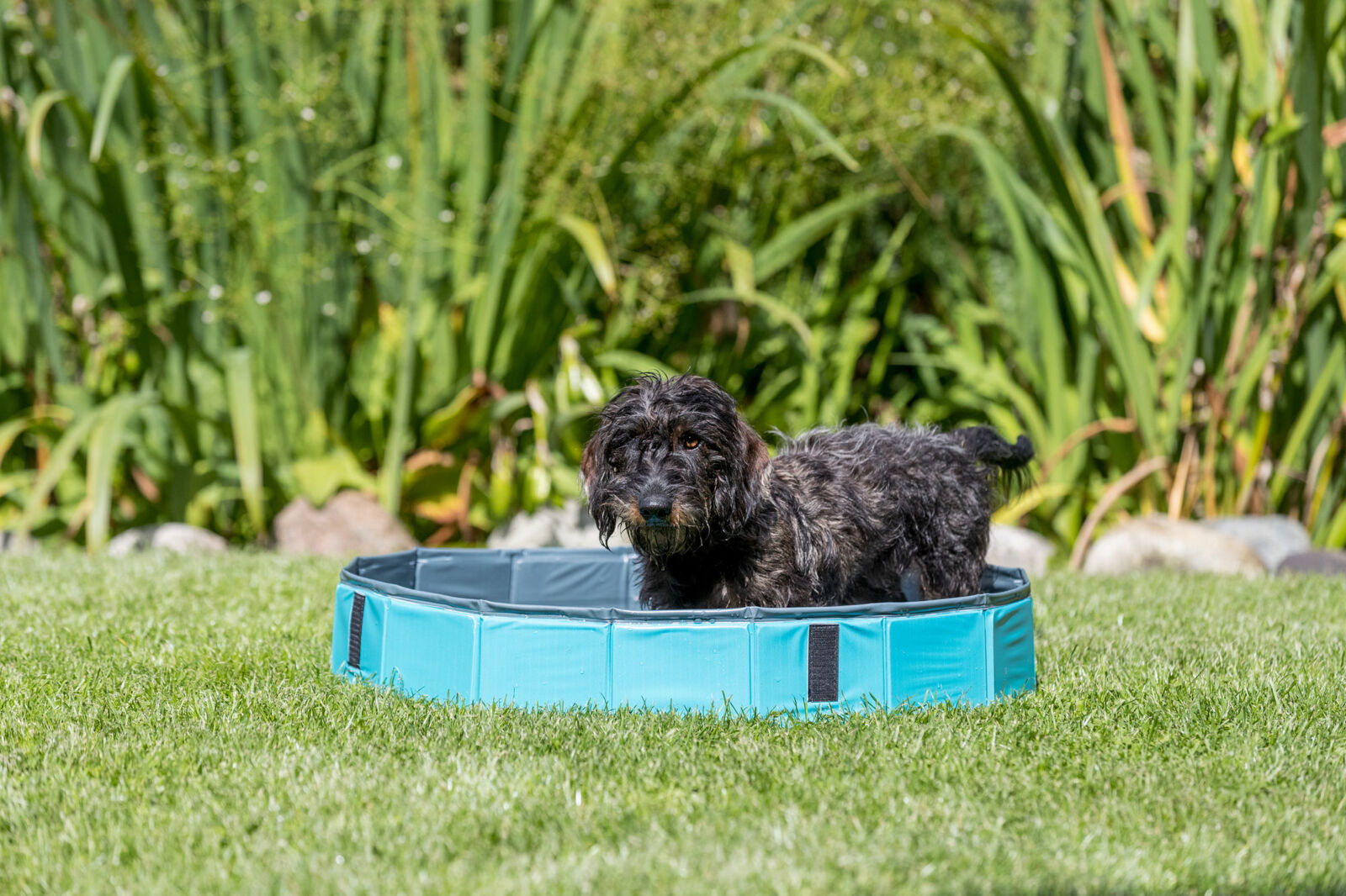 Trixie Dog Pool Petrol/Grey