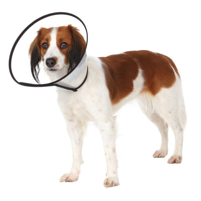 Trixie Protective Collar with Velcro L 44–53cm/22cm