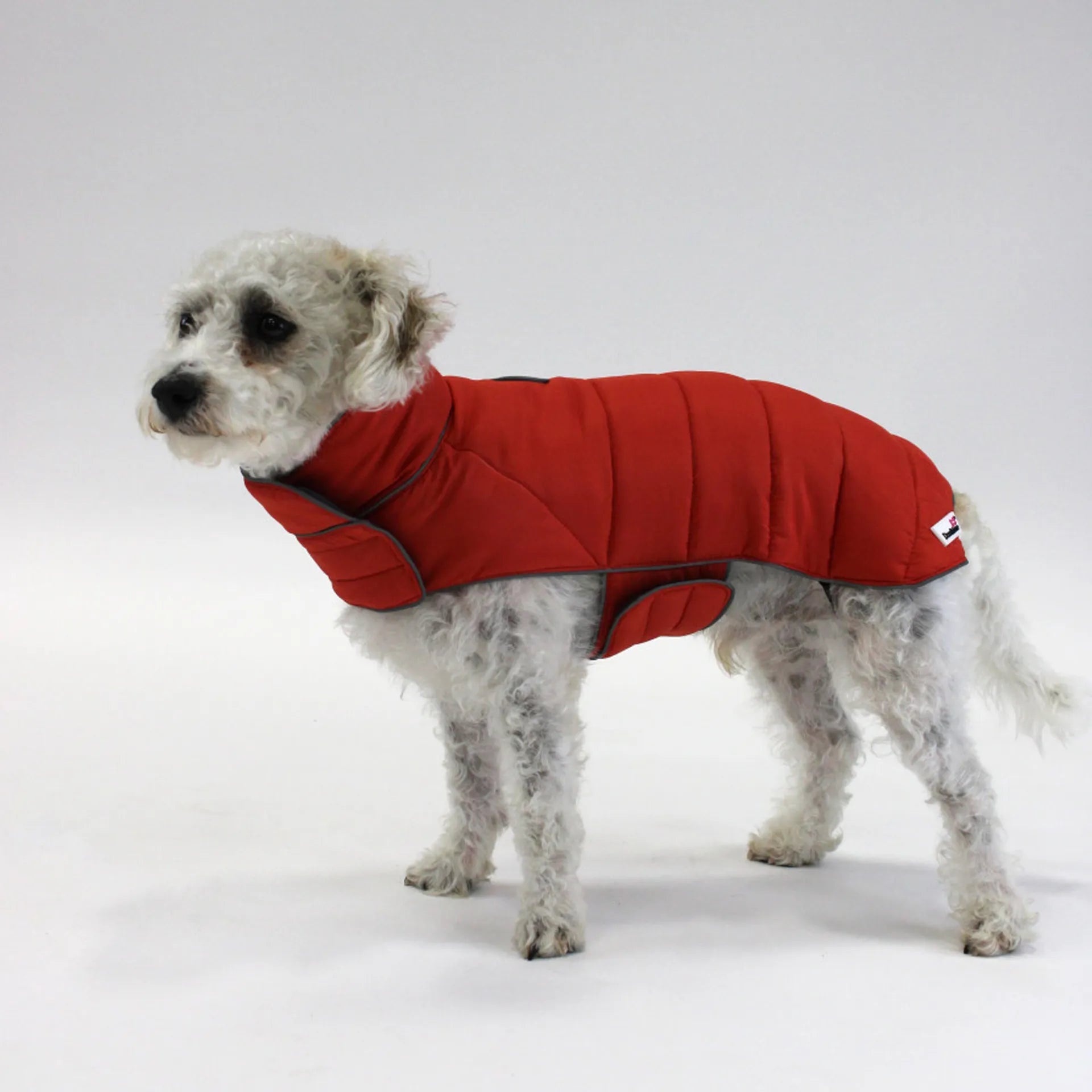 Doodlebone Puffer Jacket
