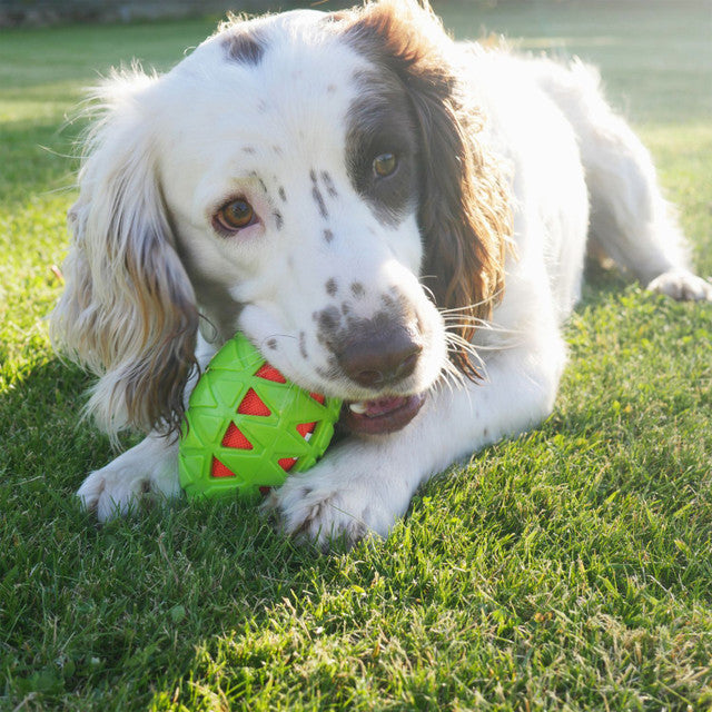 Tough Crunch Rugby Ball Large