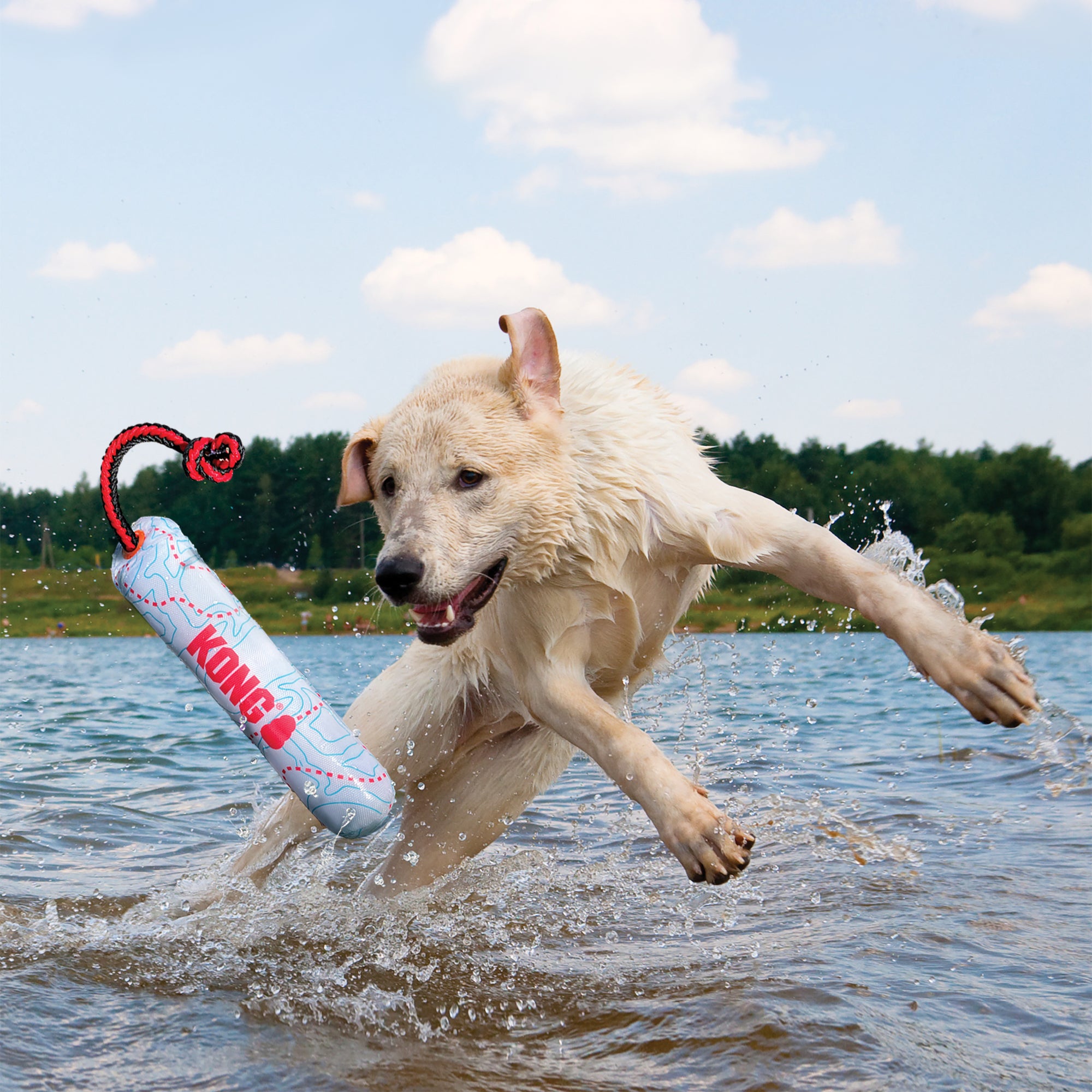 KONG Wild Shieldz Training Dummy Swirl Small/Medium