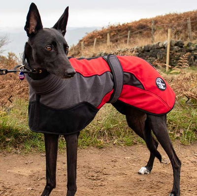 Dry Dogs Snoody Double-Fleece Sighthound Coat