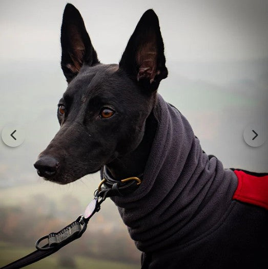 Dry Dogs Snoody Double-Fleece Sighthound Coat