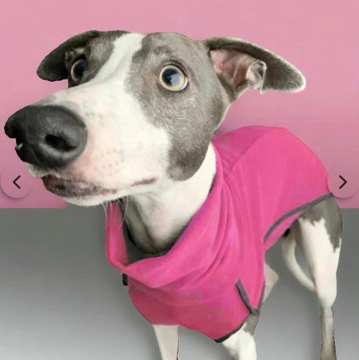 Dry Dogs Fleece Sighthound Base-Layer Coat With Underbelly And Snood