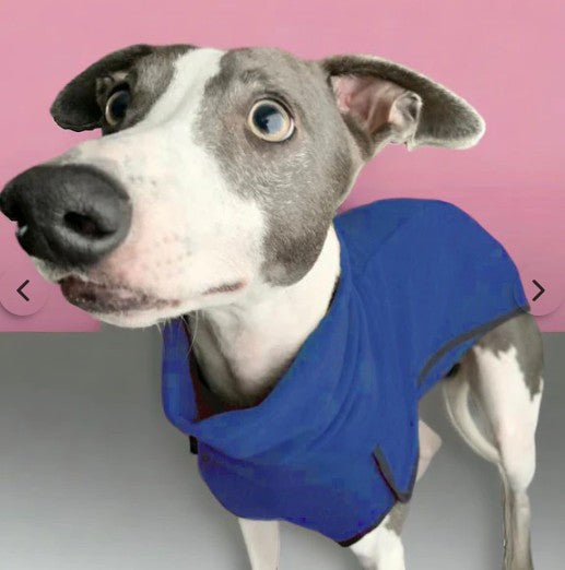 Dry Dogs Fleece Sighthound Base-Layer Coat With Underbelly And Snood