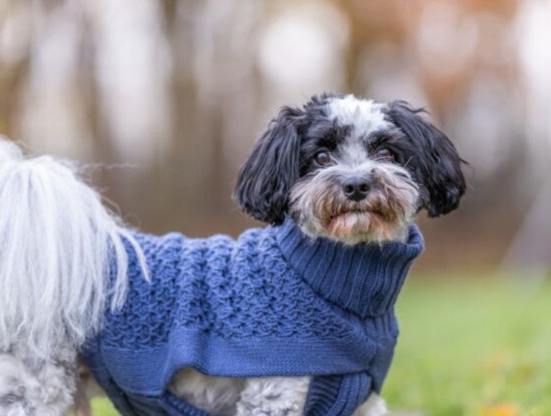 Trixie Norwood Pullover