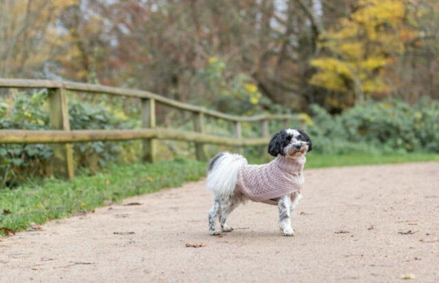 Trixie Norwood Pullover