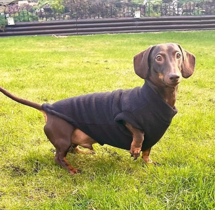 Pawsome Suits Dachshund Jumper Polar Fleece