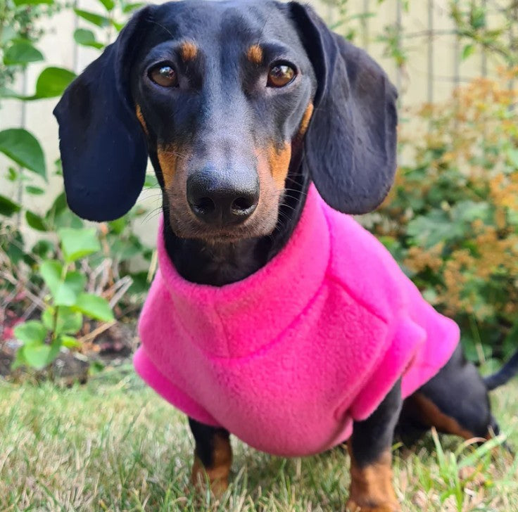 Pawsome Suits Dachshund Jumper Polar Fleece