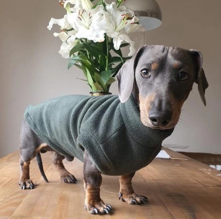 Pawsome Suits Dachshund Jumper Polar Fleece