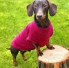 Pawsome Suits Dachshund Jumper Polar Fleece