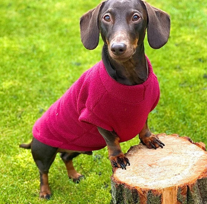 Pawsome Suits Dachshund Jumper Polar Fleece