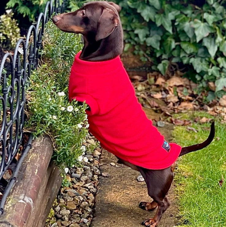 Pawsome Suits Dachshund Jumper Polar Fleece