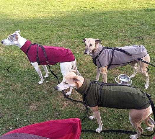 Dry Dogs Fleece Sighthound Base-Layer Coat With Underbelly And Snood