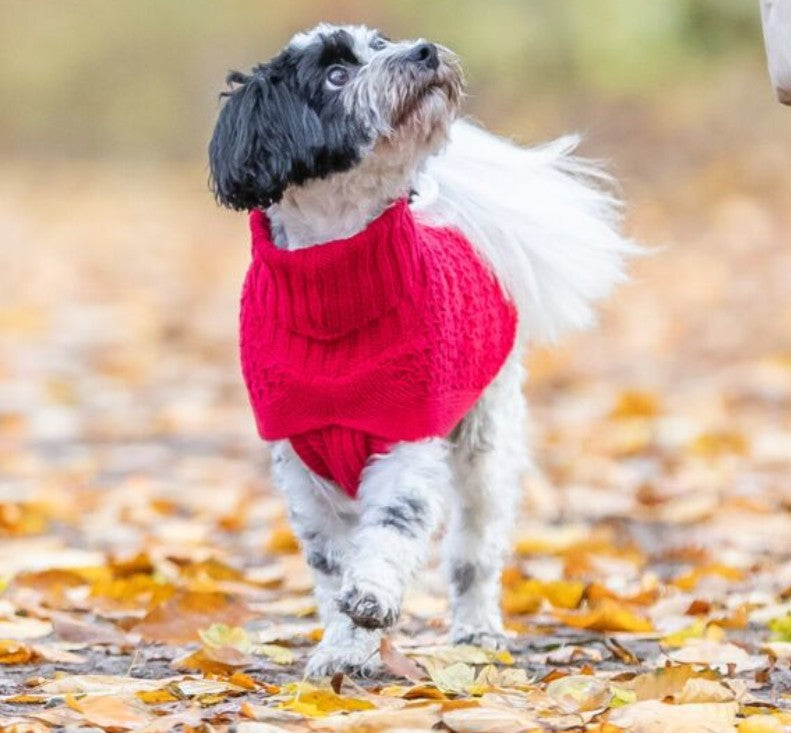 Trixie Norwood Pullover