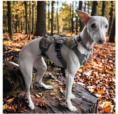Dry Dogs Sighthound Escape Proof Harness